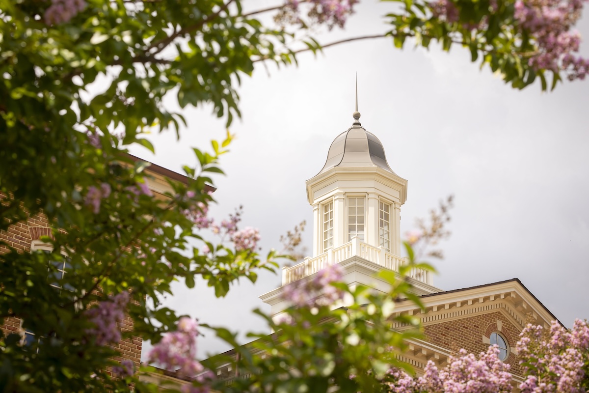 A white cupola atop a brick tower with flowering pink trees in the foreground